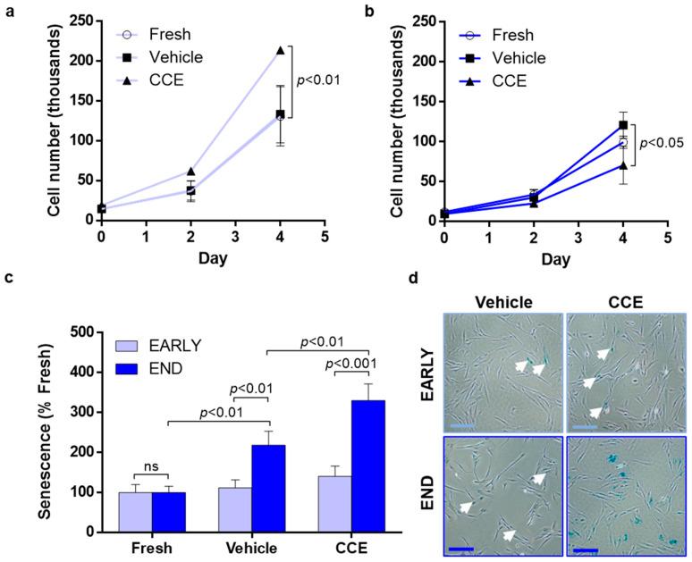 https://cdn.ncbi.nlm.nih.gov/pmc/blobs/d34a/8947535/11f479ad5420/cells-11-01043-g003.jpg
