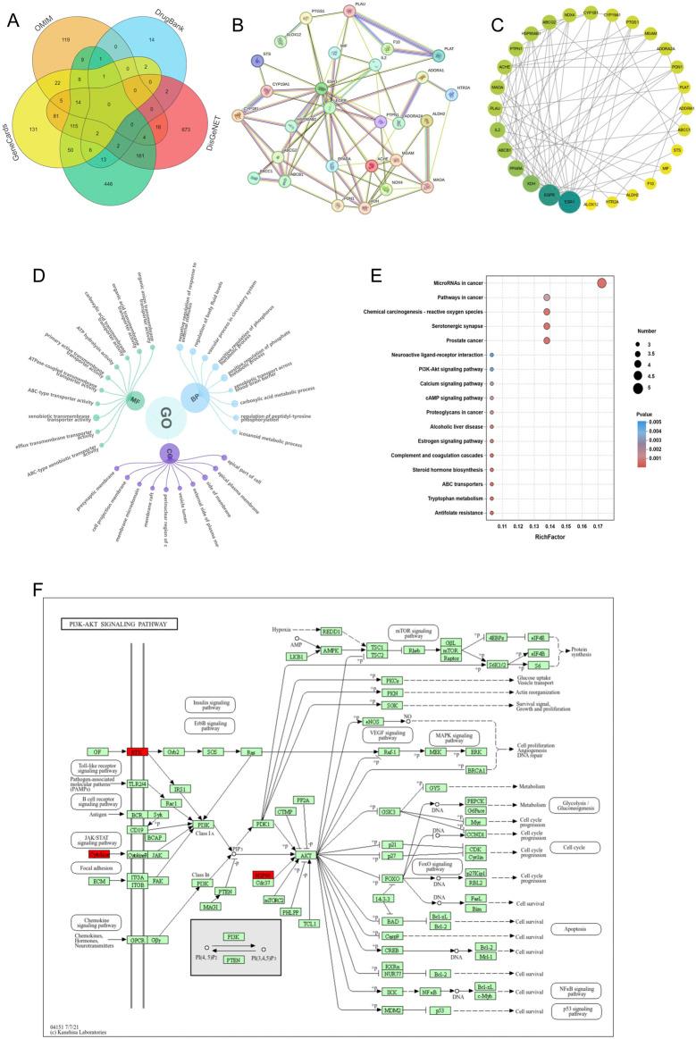 https://cdn.ncbi.nlm.nih.gov/pmc/blobs/d34d/12106390/397ecf76ece6/fphar-16-1505637-g002.jpg