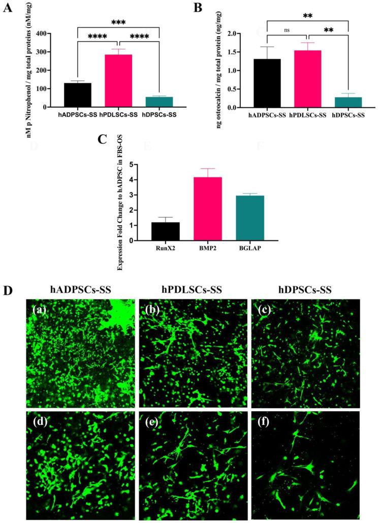 https://cdn.ncbi.nlm.nih.gov/pmc/blobs/d34e/10812978/57dac399b5e1/bioengineering-11-00059-g006.jpg