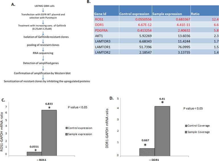 https://cdn.ncbi.nlm.nih.gov/pmc/blobs/d34f/4653012/1270ce1d1087/oncotarget-06-20388-g001.jpg