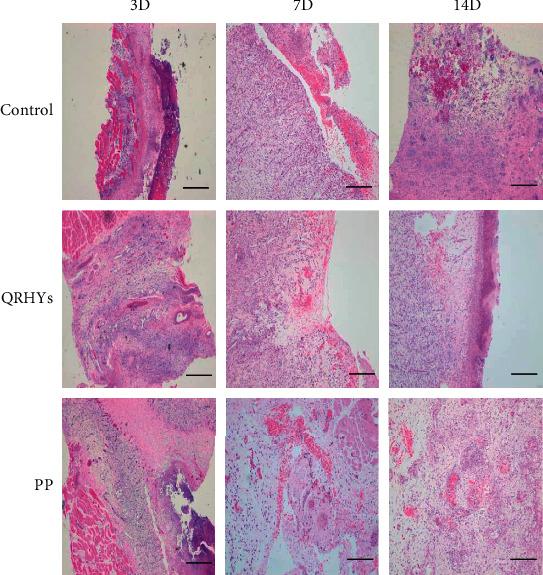 https://cdn.ncbi.nlm.nih.gov/pmc/blobs/d34f/9042638/8f1d6929cd44/CMMM2022-9397478.002.jpg