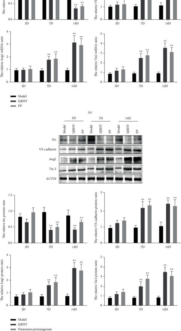https://cdn.ncbi.nlm.nih.gov/pmc/blobs/d34f/9042638/97c0e6e9e478/CMMM2022-9397478.005.jpg