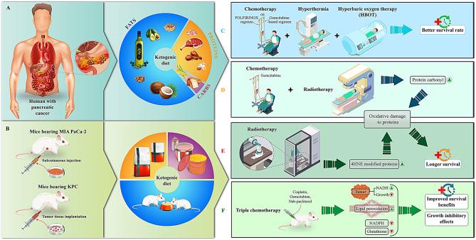 https://cdn.ncbi.nlm.nih.gov/pmc/blobs/d352/11562866/c0d2db3d3120/12944_2024_2368_Fig2_HTML.jpg