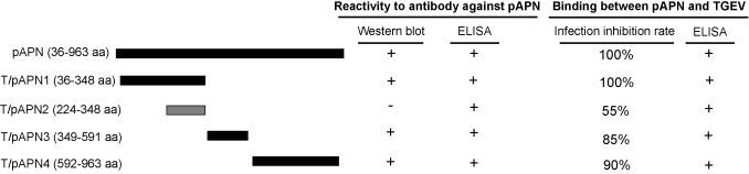 https://cdn.ncbi.nlm.nih.gov/pmc/blobs/d352/7114188/eb1692532359/gr1.jpg
