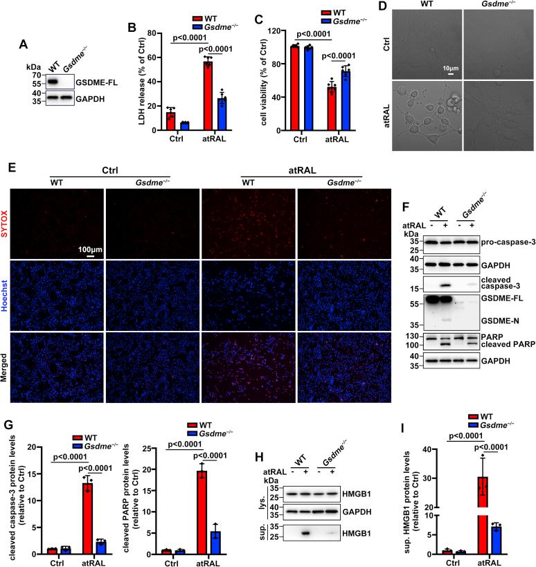 https://cdn.ncbi.nlm.nih.gov/pmc/blobs/d352/8800116/9b63b5761901/gr4.jpg