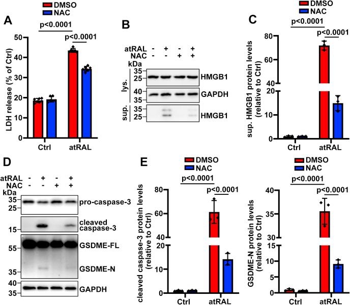 https://cdn.ncbi.nlm.nih.gov/pmc/blobs/d352/8800116/ceb2ab287dd1/gr7.jpg
