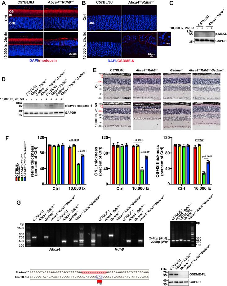 https://cdn.ncbi.nlm.nih.gov/pmc/blobs/d352/8800116/e850886ec55f/gr1.jpg