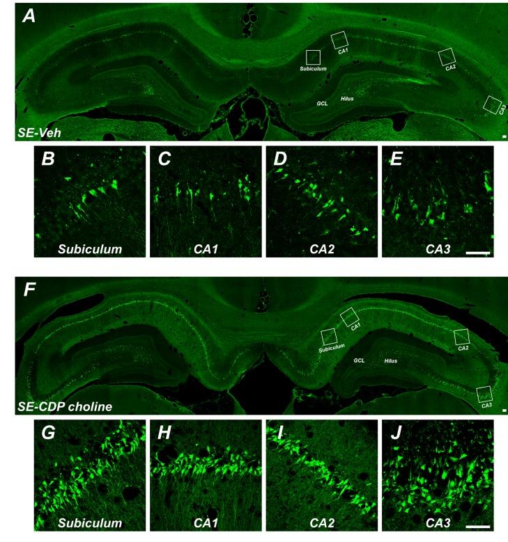 https://cdn.ncbi.nlm.nih.gov/pmc/blobs/d353/5771384/69a28d16e159/CN-16-51_F1.jpg