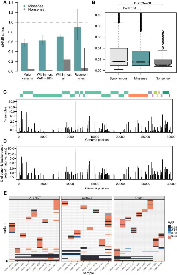 https://cdn.ncbi.nlm.nih.gov/pmc/blobs/d353/8363274/37e6e9ff02a3/elife-66857-fig4.jpg