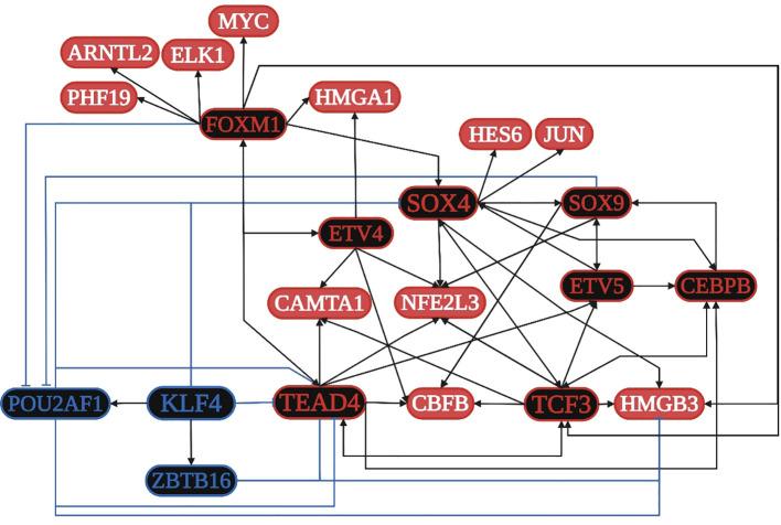 https://cdn.ncbi.nlm.nih.gov/pmc/blobs/d354/11368877/9909f32df16d/fcimb-14-1425388-g004.jpg