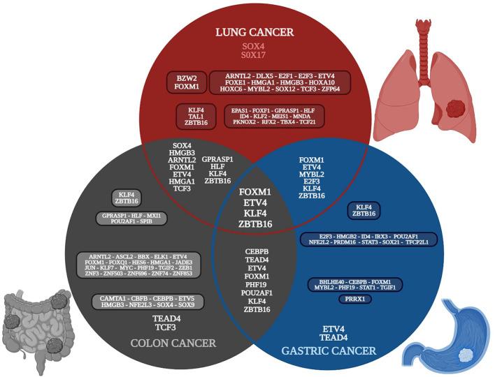 https://cdn.ncbi.nlm.nih.gov/pmc/blobs/d354/11368877/d57372014572/fcimb-14-1425388-g002.jpg