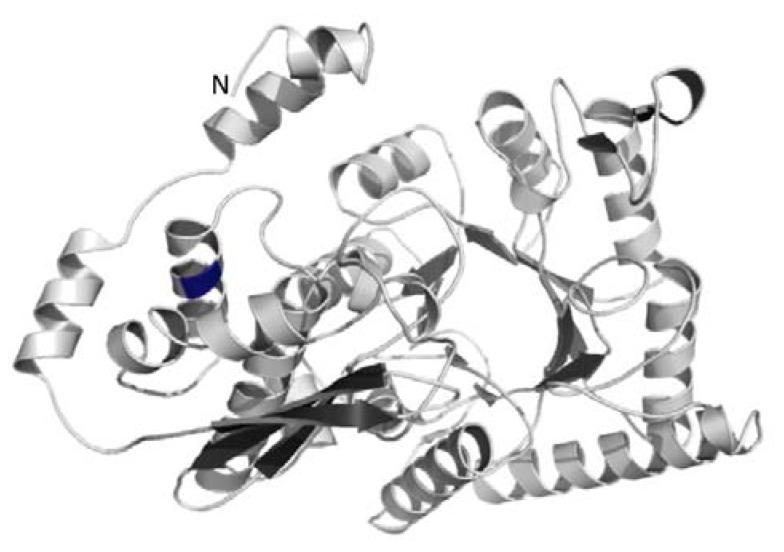 https://cdn.ncbi.nlm.nih.gov/pmc/blobs/d355/4192683/7f755edc9f23/metabolites-04-00612-g005.jpg