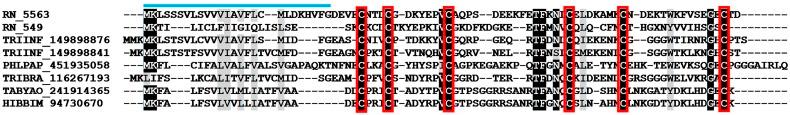 https://cdn.ncbi.nlm.nih.gov/pmc/blobs/d355/4851354/127e3fdfca1f/pntd.0004581.g004.jpg