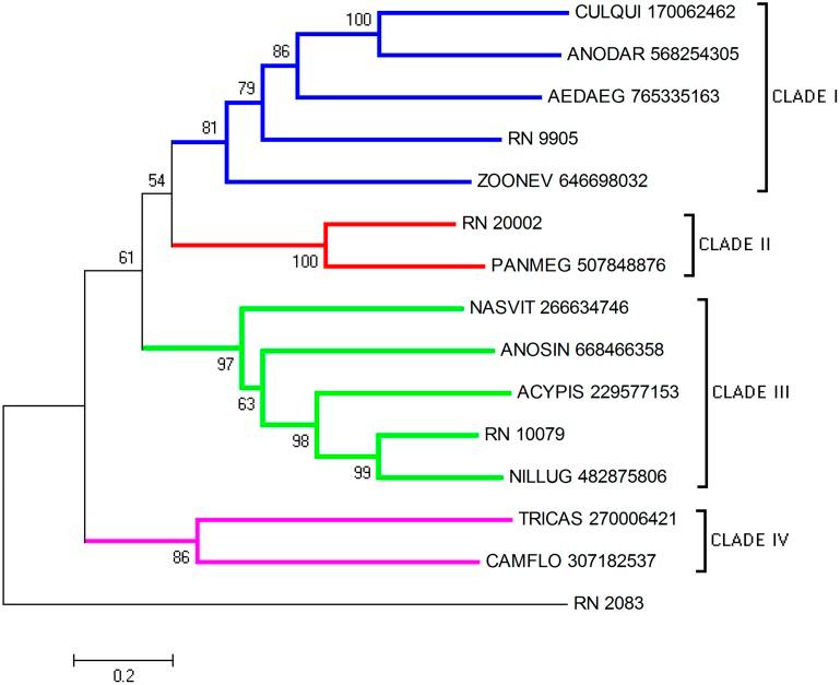 https://cdn.ncbi.nlm.nih.gov/pmc/blobs/d355/4851354/6b80e96d259f/pntd.0004581.g006.jpg