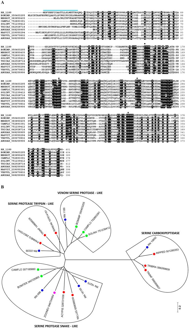 https://cdn.ncbi.nlm.nih.gov/pmc/blobs/d355/4851354/b160740191bb/pntd.0004581.g009.jpg