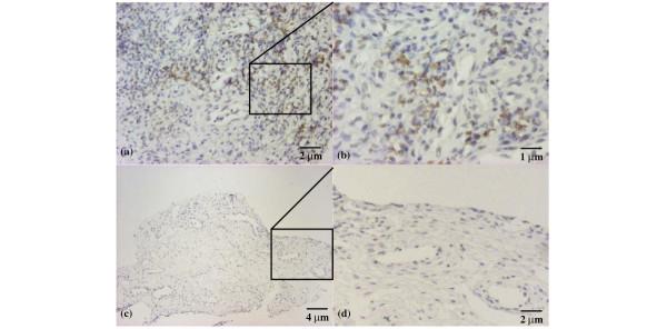 https://cdn.ncbi.nlm.nih.gov/pmc/blobs/d357/1065320/988512423603/ar1481-1.jpg