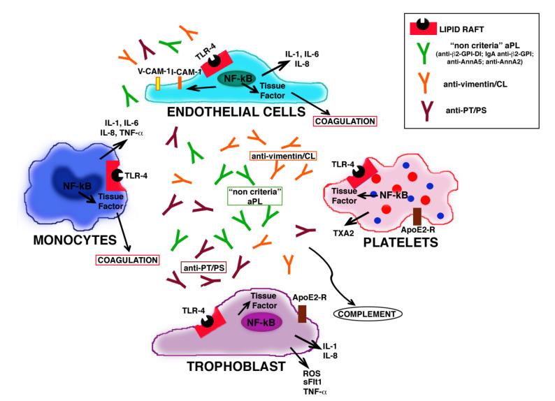 https://cdn.ncbi.nlm.nih.gov/pmc/blobs/d357/7665122/b71253e6dcf6/ijms-21-08411-g003.jpg