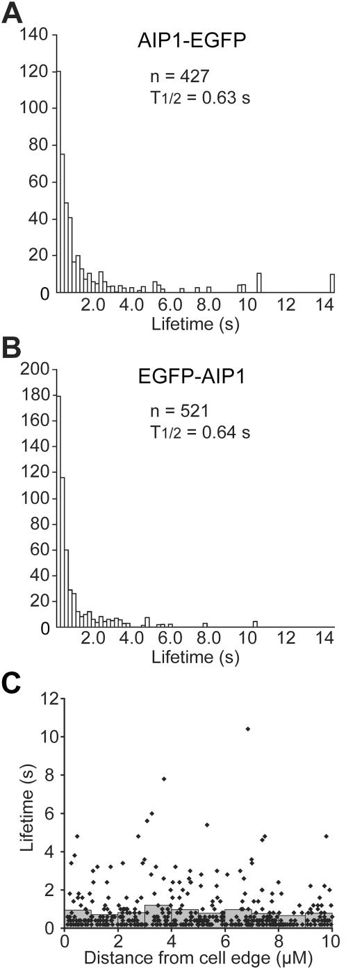 https://cdn.ncbi.nlm.nih.gov/pmc/blobs/d35a/2654150/1cd661a5496c/pone.0004921.g005.jpg