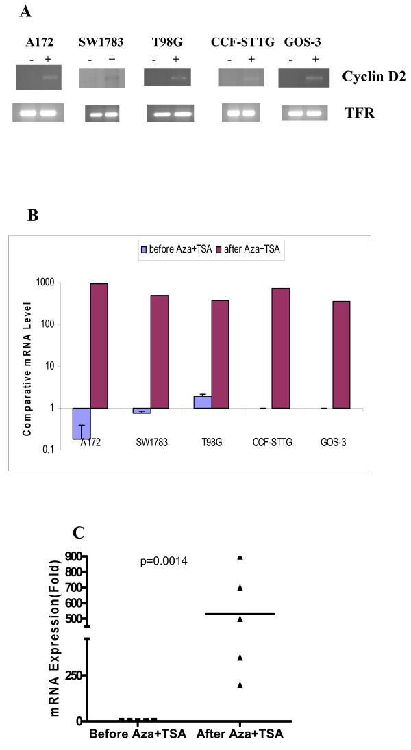 https://cdn.ncbi.nlm.nih.gov/pmc/blobs/d35a/2989332/f3d9f8230310/1471-2407-10-614-6.jpg