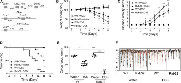 https://cdn.ncbi.nlm.nih.gov/pmc/blobs/d35a/6168699/7112d746aabe/FEB4-8-1658-g001.jpg