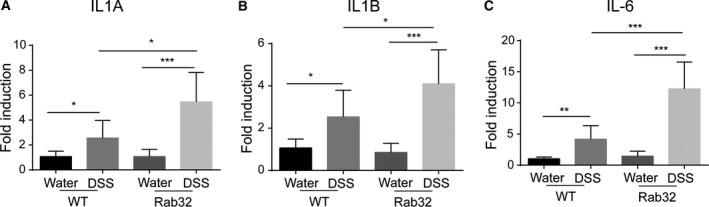 https://cdn.ncbi.nlm.nih.gov/pmc/blobs/d35a/6168699/faa5222f9893/FEB4-8-1658-g003.jpg