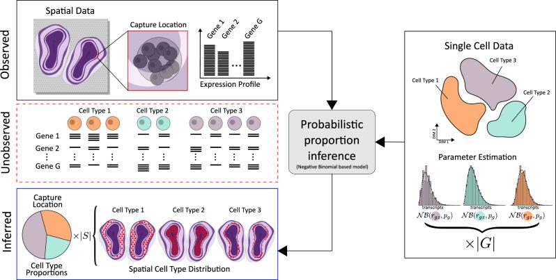 https://cdn.ncbi.nlm.nih.gov/pmc/blobs/d35c/7547664/753b3b0dd153/42003_2020_1247_Fig1_HTML.jpg