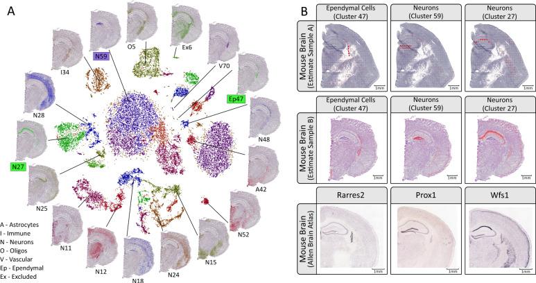 https://cdn.ncbi.nlm.nih.gov/pmc/blobs/d35c/7547664/c93868a18ee8/42003_2020_1247_Fig2_HTML.jpg
