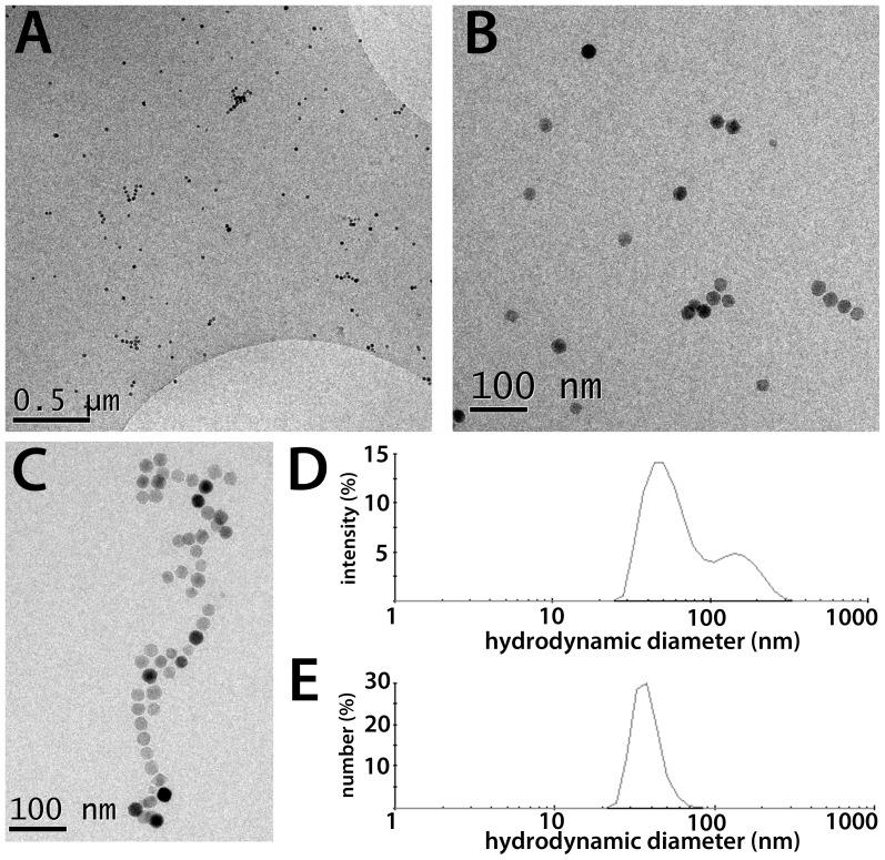 https://cdn.ncbi.nlm.nih.gov/pmc/blobs/d35d/3577714/41ce10f31397/pone.0057335.g004.jpg