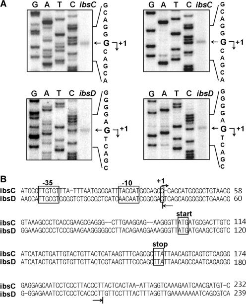 https://cdn.ncbi.nlm.nih.gov/pmc/blobs/d35e/2943612/22c6d1e33594/gkq292f4.jpg