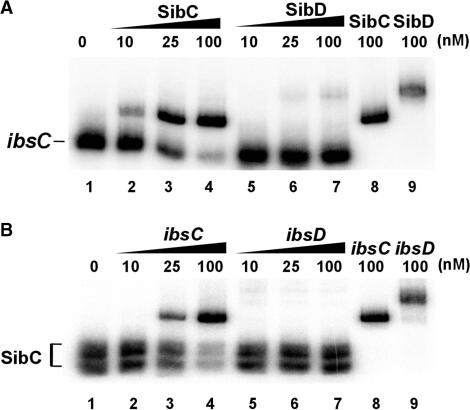 https://cdn.ncbi.nlm.nih.gov/pmc/blobs/d35e/2943612/99c4214d95fd/gkq292f5.jpg