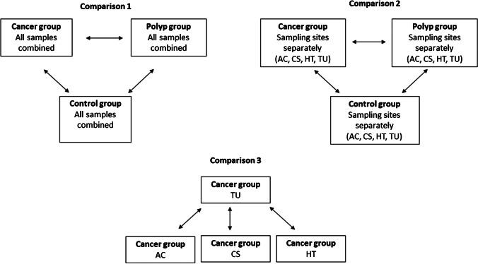 https://cdn.ncbi.nlm.nih.gov/pmc/blobs/d35e/9899194/e25e3f4a7bab/10096_2023_4551_Fig4_HTML.jpg