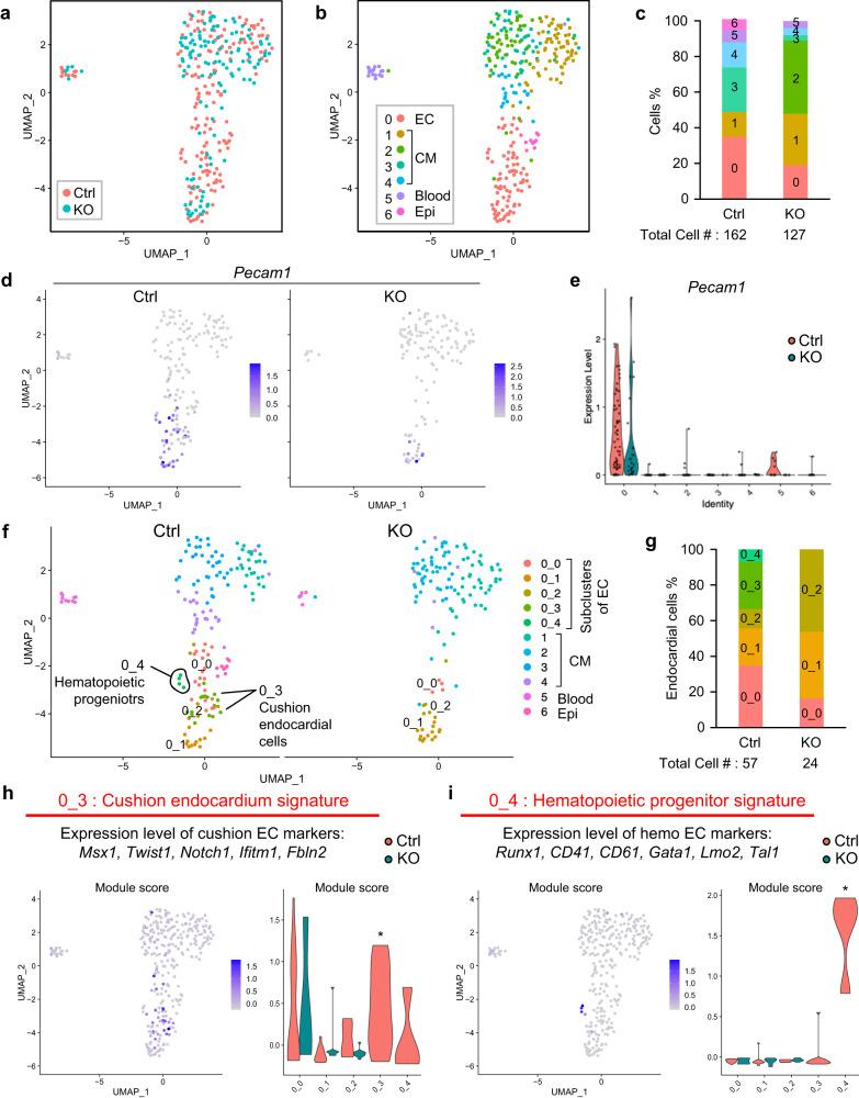 https://cdn.ncbi.nlm.nih.gov/pmc/blobs/d360/10480477/6927823f5037/41467_2023_41039_Fig1_HTML.jpg