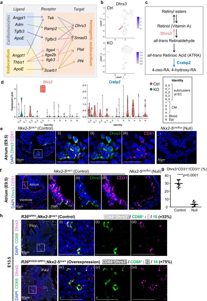 https://cdn.ncbi.nlm.nih.gov/pmc/blobs/d360/10480477/954357ab9329/41467_2023_41039_Fig4_HTML.jpg