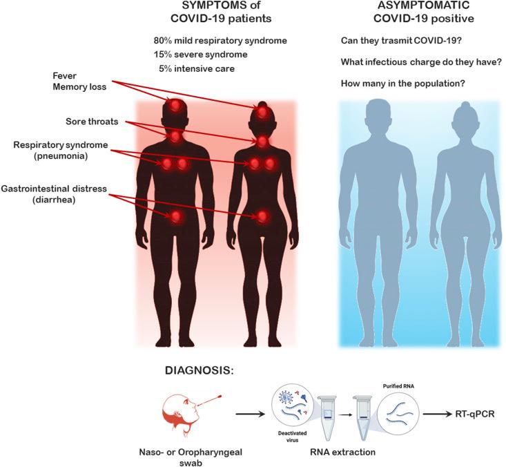 https://cdn.ncbi.nlm.nih.gov/pmc/blobs/d360/7319627/e6321f533650/gr1_lrg.jpg