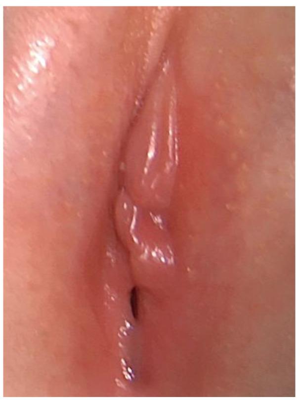 https://cdn.ncbi.nlm.nih.gov/pmc/blobs/d364/11270338/24c3e2ebca5f/pediatrrep-16-00047-g001.jpg