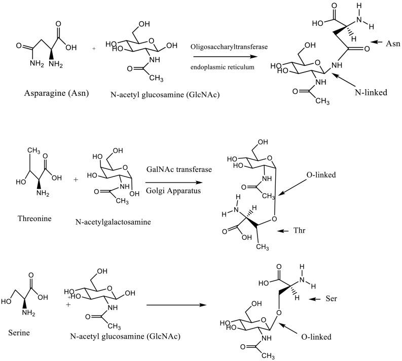 https://cdn.ncbi.nlm.nih.gov/pmc/blobs/d367/8552795/811ec7743b79/gr4_lrg.jpg