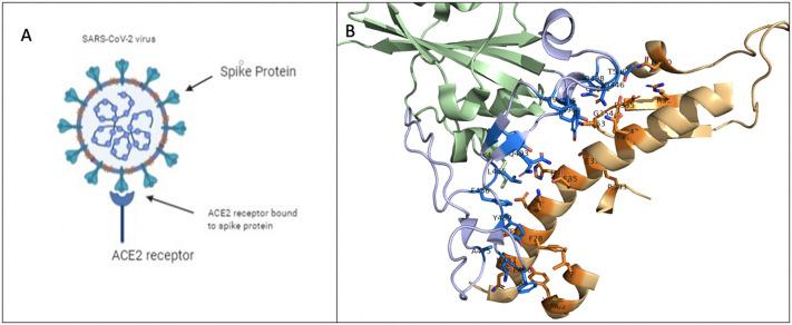 https://cdn.ncbi.nlm.nih.gov/pmc/blobs/d367/8552795/c05cd950a165/gr9_lrg.jpg