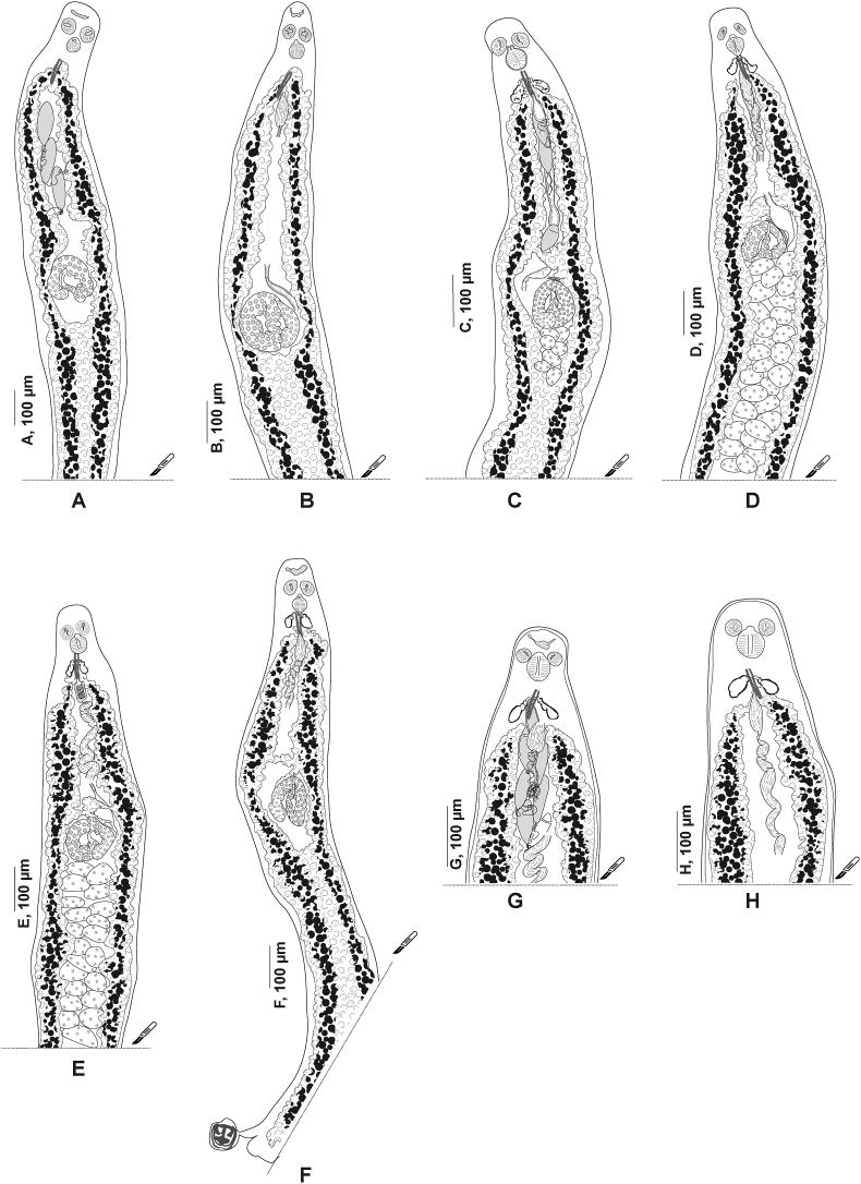 https://cdn.ncbi.nlm.nih.gov/pmc/blobs/d368/10901078/ae9a0fe85dad/gr3.jpg