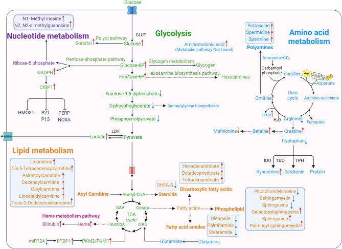 https://cdn.ncbi.nlm.nih.gov/pmc/blobs/d36a/11131231/e5fc619a844d/12931_2024_2775_Fig1_HTML.jpg