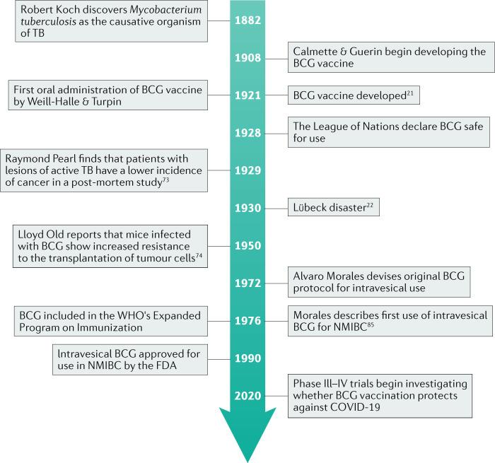 https://cdn.ncbi.nlm.nih.gov/pmc/blobs/d36a/8204595/305c3220c80e/41585_2021_481_Fig1_HTML.jpg