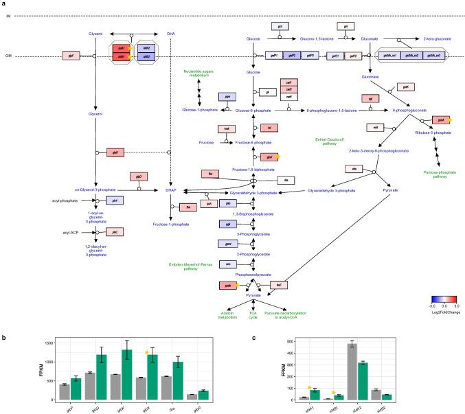 https://cdn.ncbi.nlm.nih.gov/pmc/blobs/d36b/12405394/158ada9e9c07/253_2025_13583_Fig2_HTML.jpg