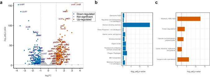 https://cdn.ncbi.nlm.nih.gov/pmc/blobs/d36b/12405394/96b6bf278cdb/253_2025_13583_Fig1_HTML.jpg