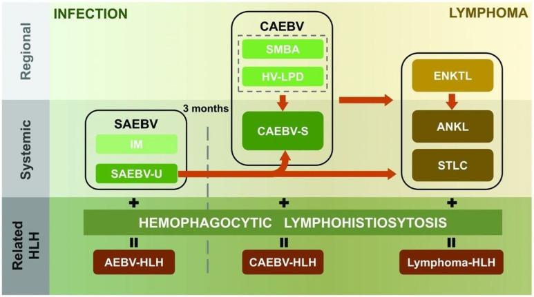 https://cdn.ncbi.nlm.nih.gov/pmc/blobs/d36c/12027426/3d96d5b82709/genes-16-00382-g004.jpg
