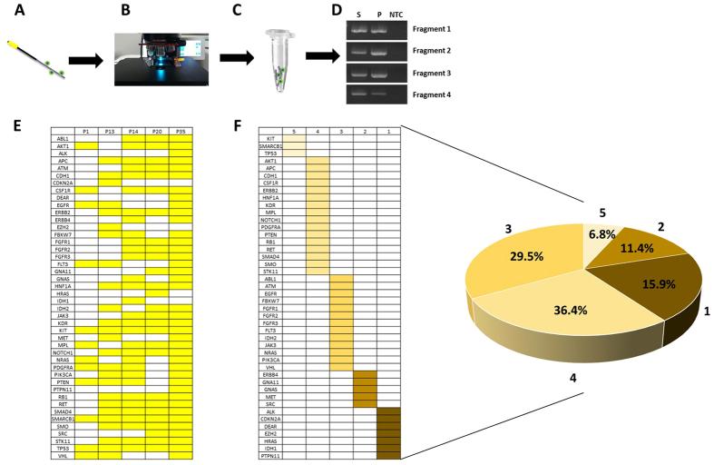 https://cdn.ncbi.nlm.nih.gov/pmc/blobs/d371/5572713/f072f62fe212/41598_2017_9284_Fig4_HTML.jpg