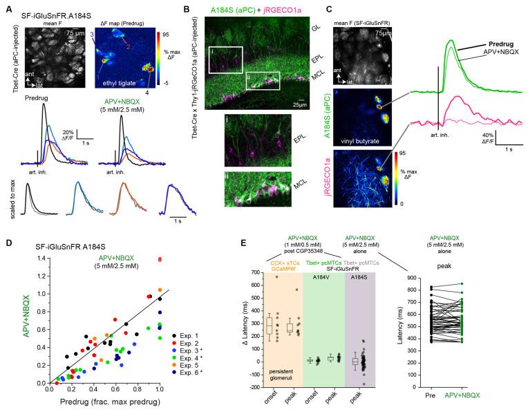 https://cdn.ncbi.nlm.nih.gov/pmc/blobs/d373/8578712/423cd7bb5960/fncir-15-779056-g0005.jpg