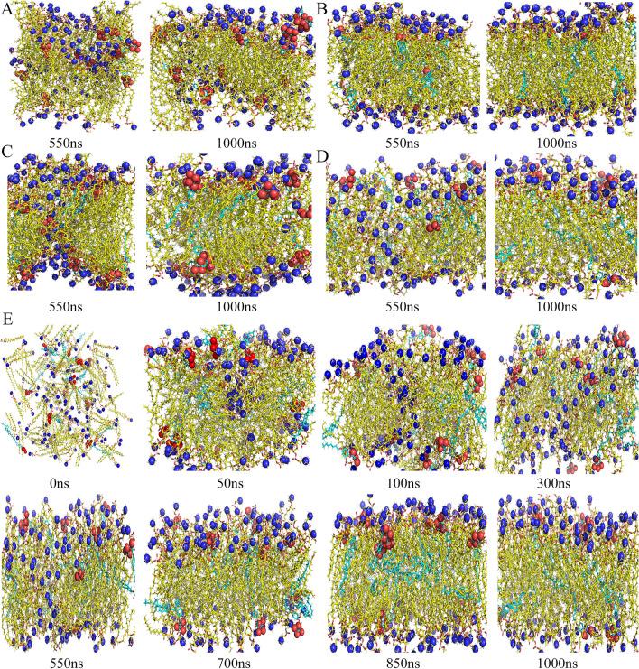 https://cdn.ncbi.nlm.nih.gov/pmc/blobs/d373/9258070/01ac83dee642/12951_2022_1493_Fig3_HTML.jpg
