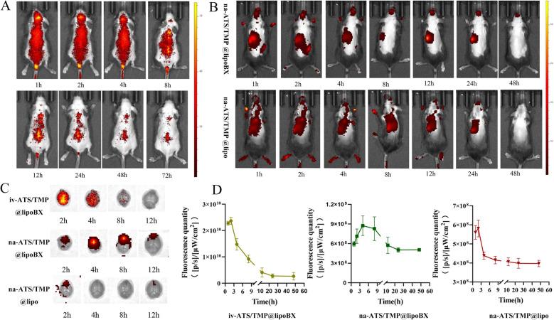 https://cdn.ncbi.nlm.nih.gov/pmc/blobs/d373/9258070/59280c6f8dc0/12951_2022_1493_Fig8_HTML.jpg