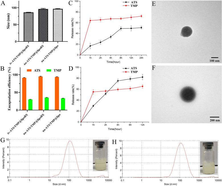 https://cdn.ncbi.nlm.nih.gov/pmc/blobs/d373/9258070/7def63089e28/12951_2022_1493_Fig6_HTML.jpg
