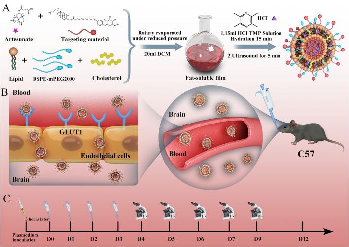 https://cdn.ncbi.nlm.nih.gov/pmc/blobs/d373/9258070/87fa6be077d7/12951_2022_1493_Fig1_HTML.jpg