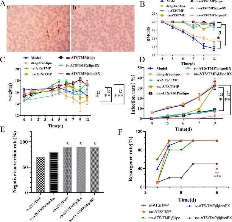 https://cdn.ncbi.nlm.nih.gov/pmc/blobs/d373/9258070/96db920656e0/12951_2022_1493_Fig9_HTML.jpg
